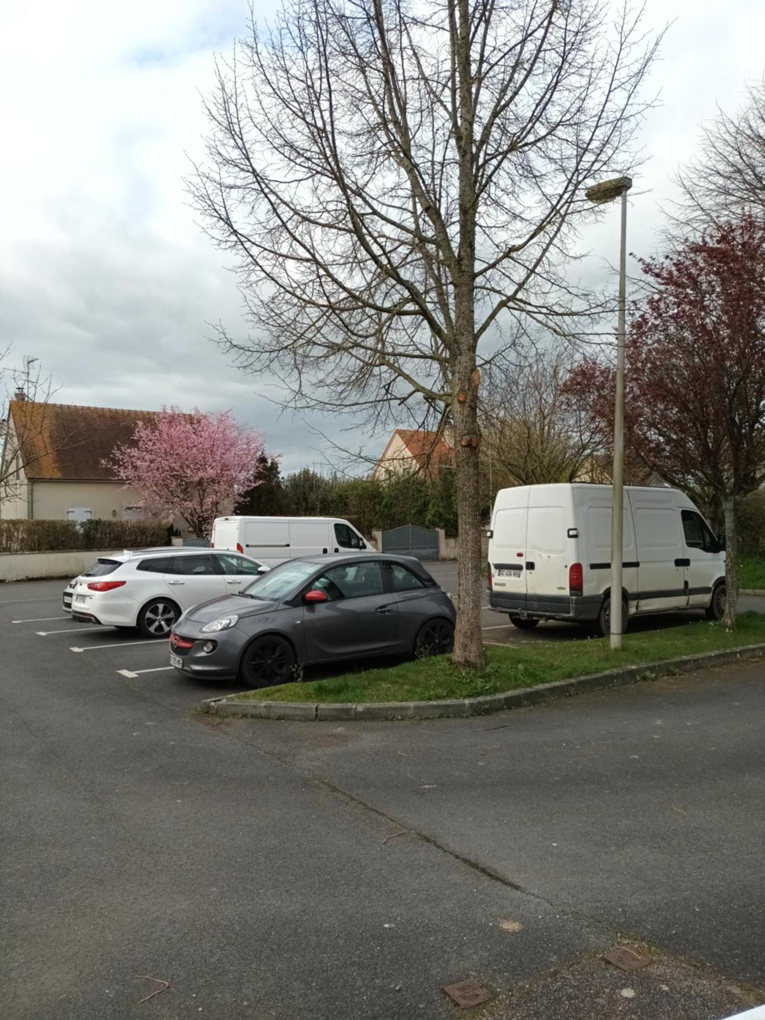 Appartement Tout Confort Le Fresne-Camilly Eksteriør billede