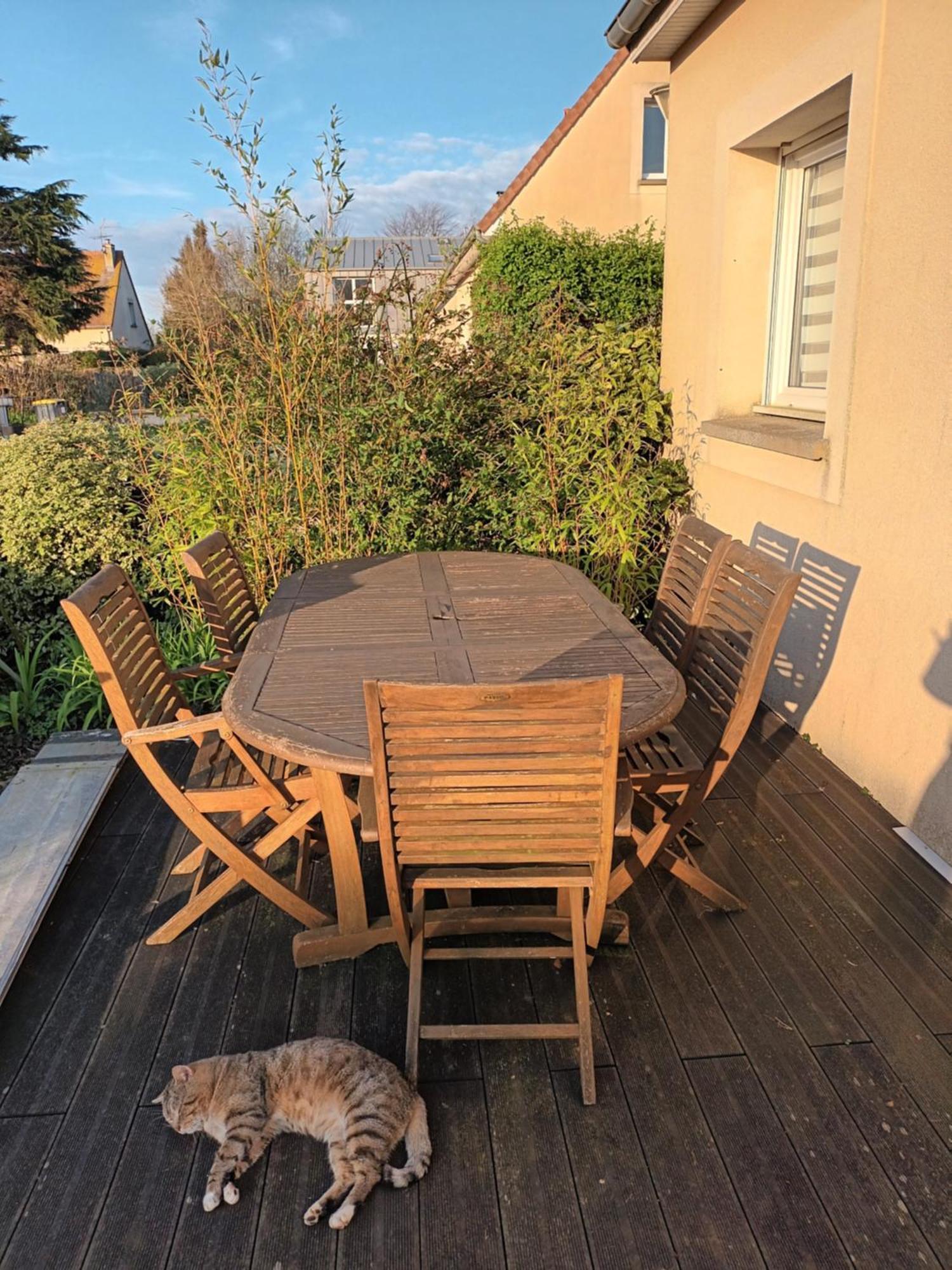 Appartement Tout Confort Le Fresne-Camilly Eksteriør billede
